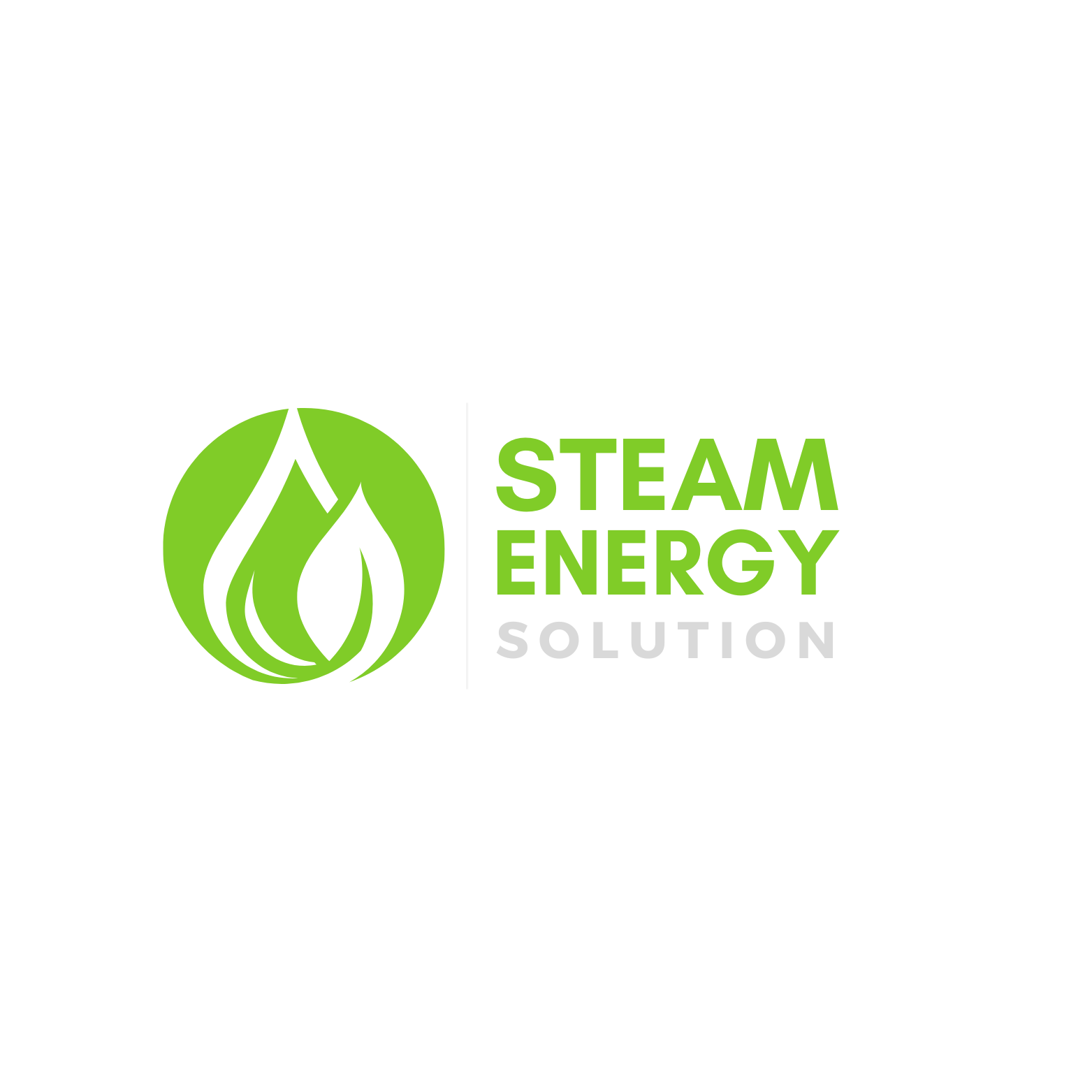 STEAM ENERGY SOLUTION